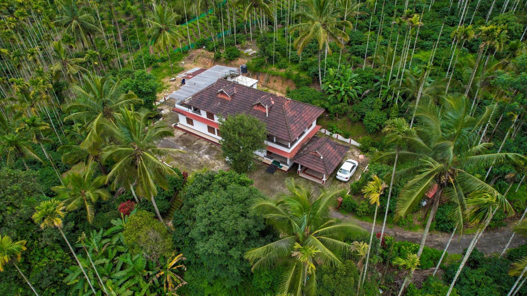 Wayanad Palm Grove Retreat G Floor Apartment Sultan Bathery
