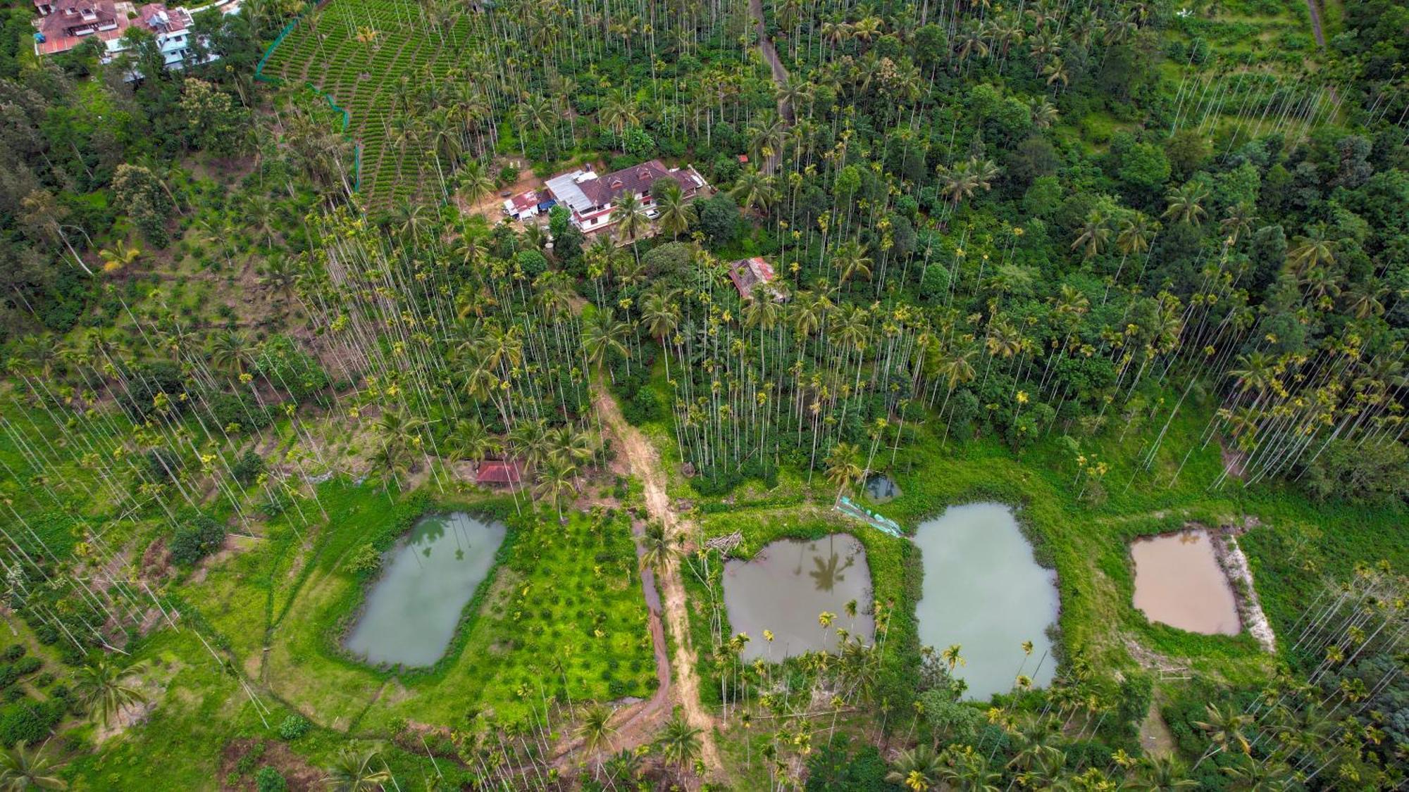 Apartment Wayanad Palm Grove Retreat G Floor Sultan Bathery