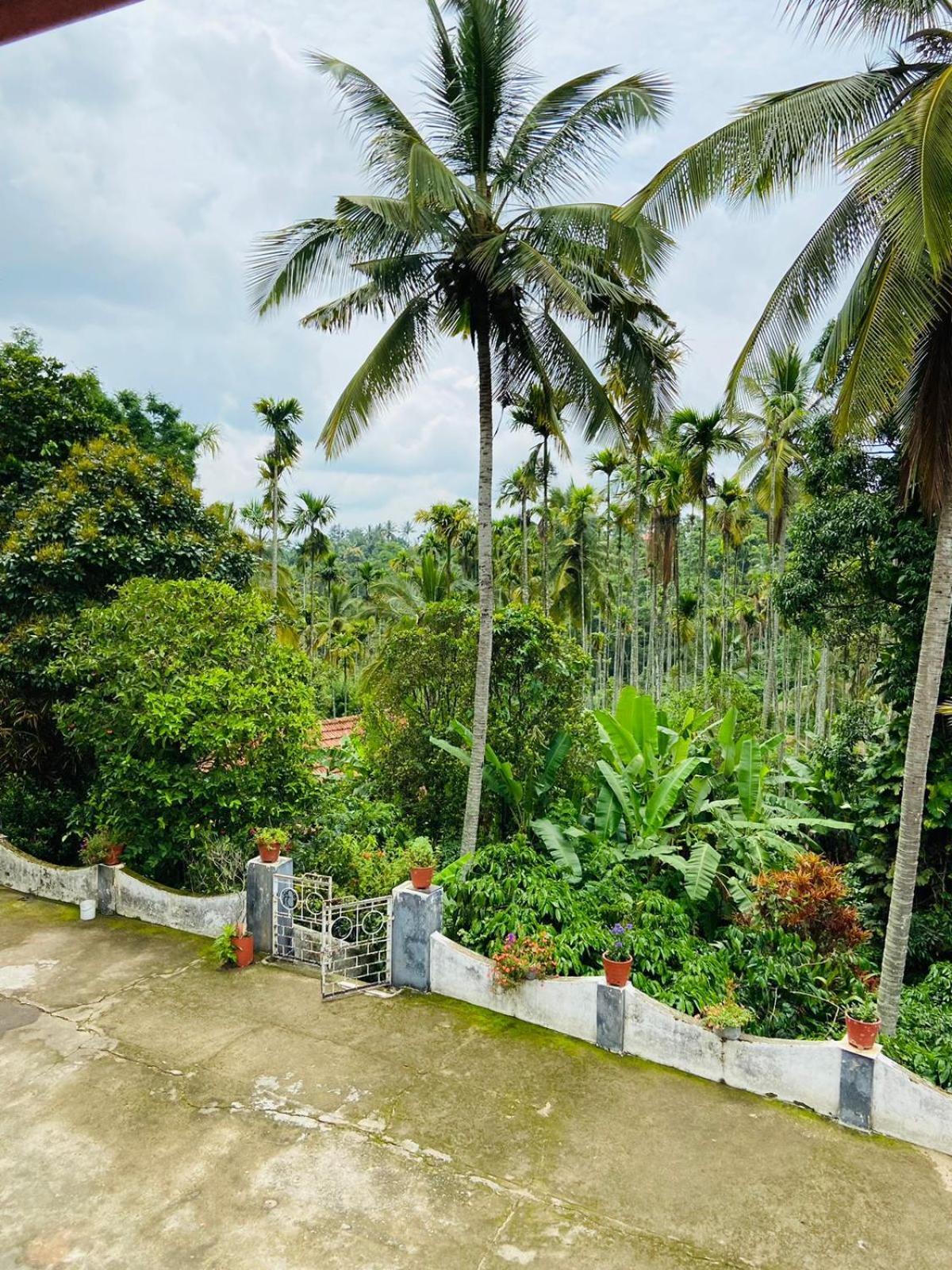 Apartment Wayanad Palm Grove Retreat G Floor